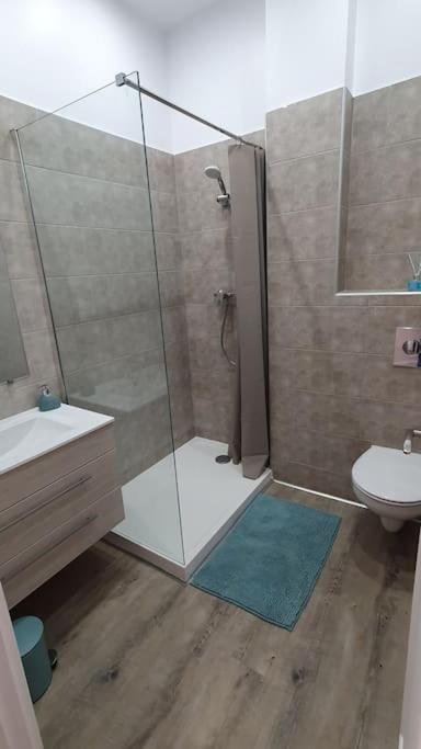 Centre-historique 70 M2 Frejus